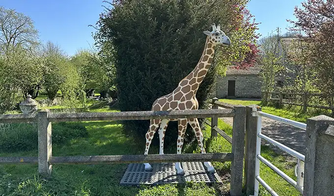 230 cm große realistische Giraffe aus Kunstharz